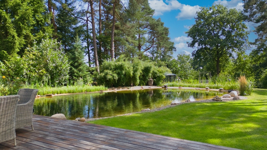 Naturteich