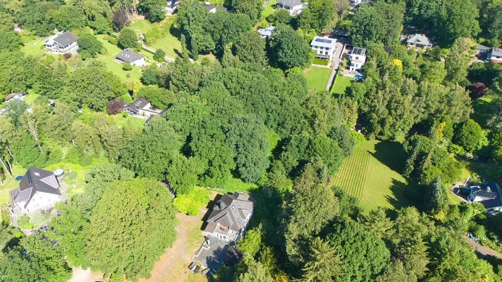 Luftbild