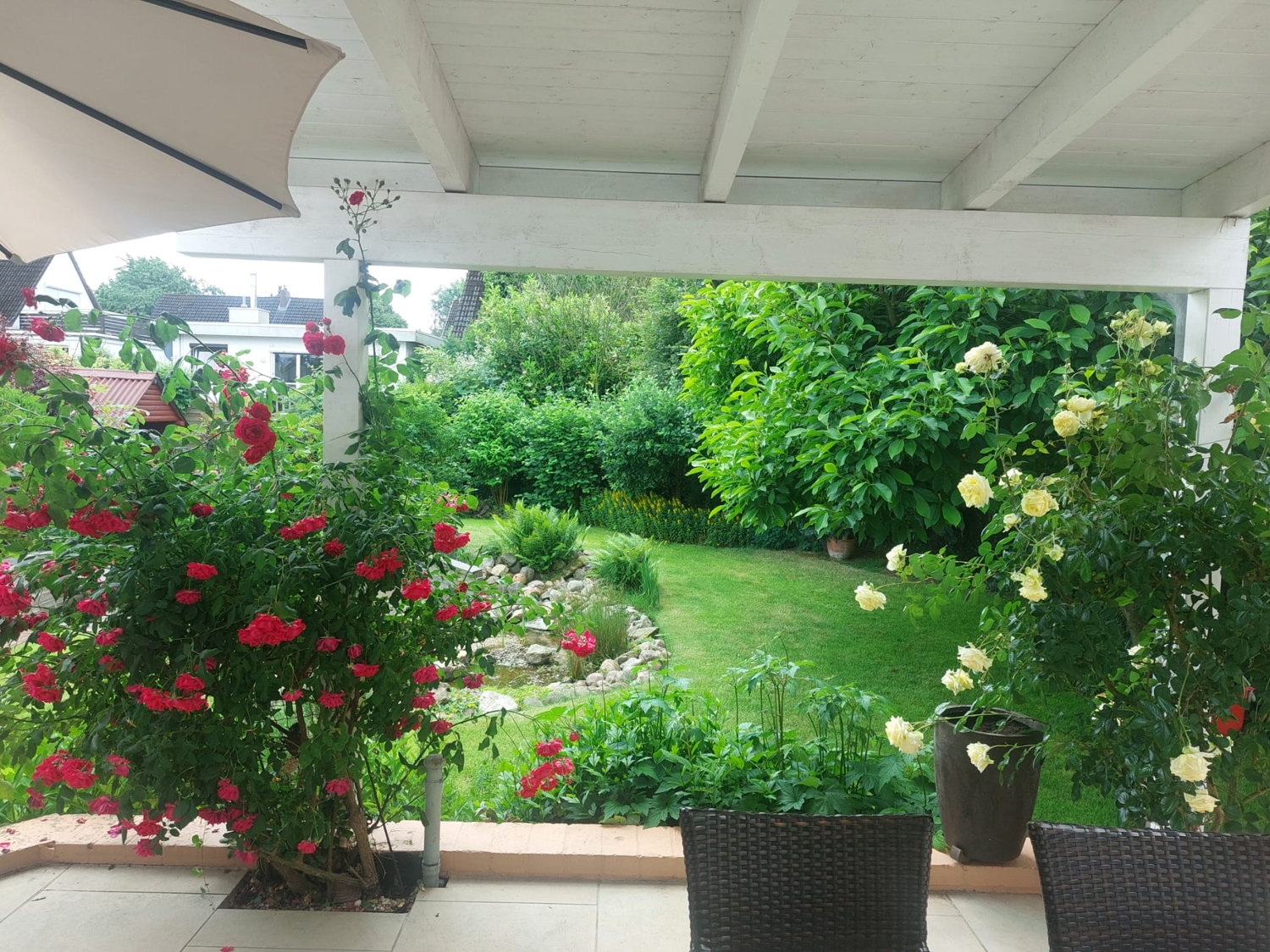 Terrassenblick