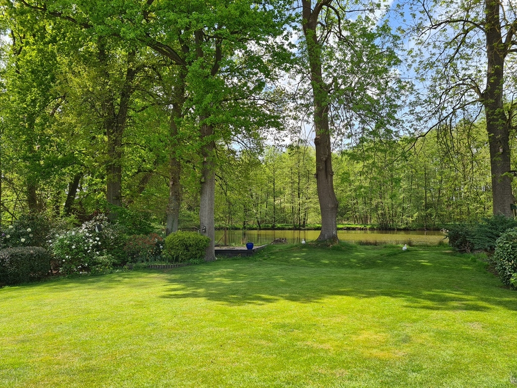 Gartenblick vom Haus