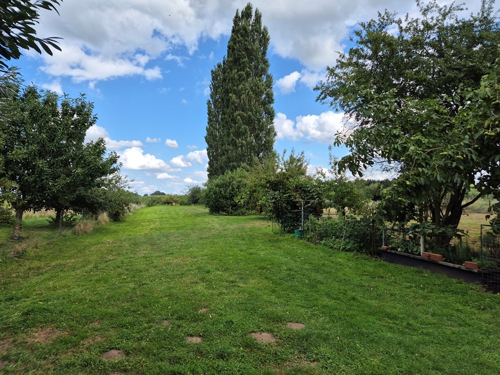 rückwärtiger Garten