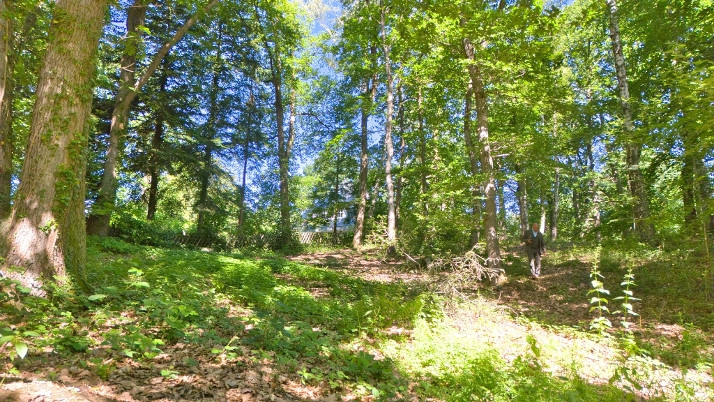 Ansicht