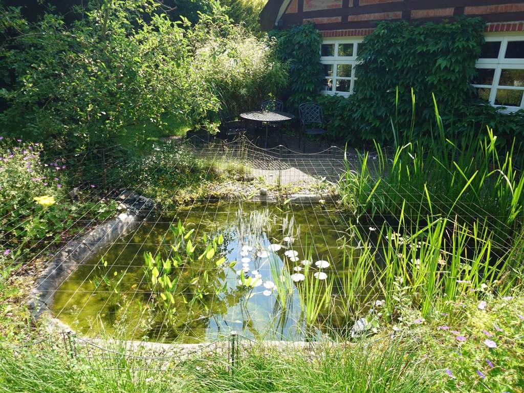 Gartenteich
