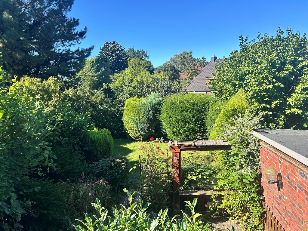 Blick in den Garten